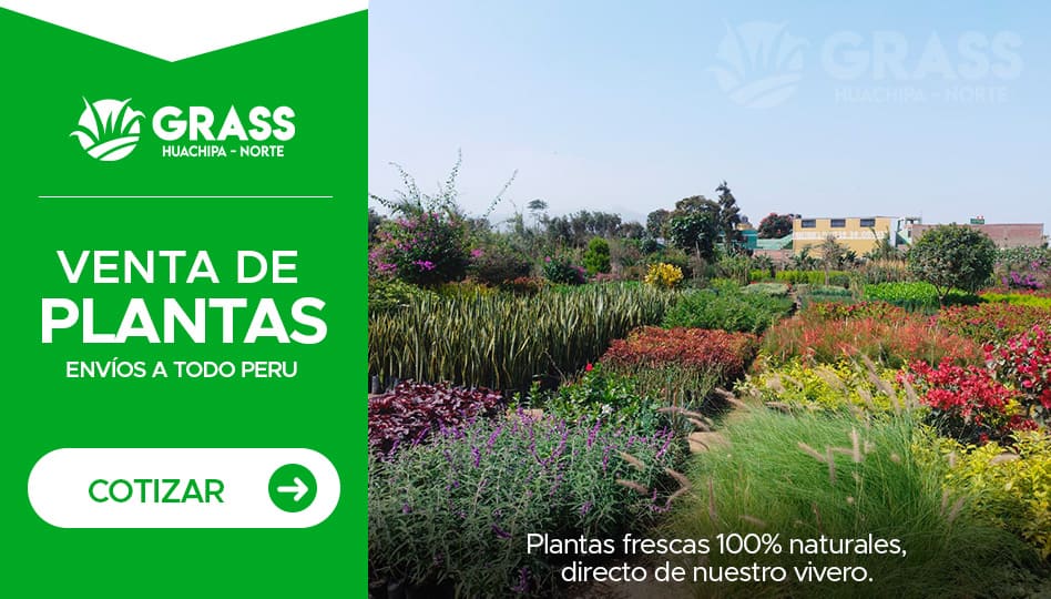 barras_plantas_02