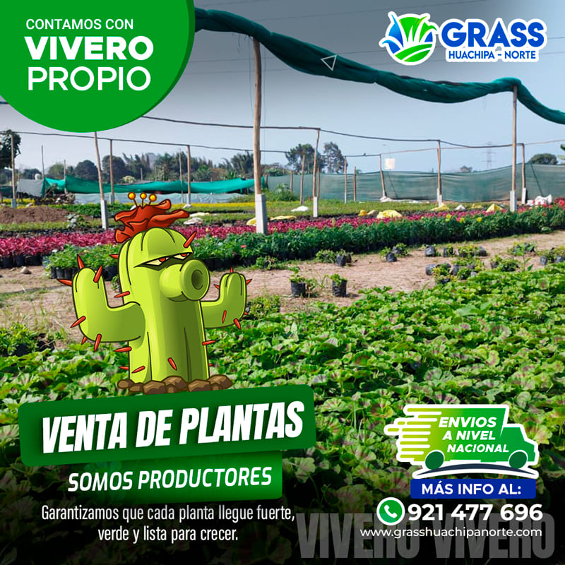 flayer_planta-01