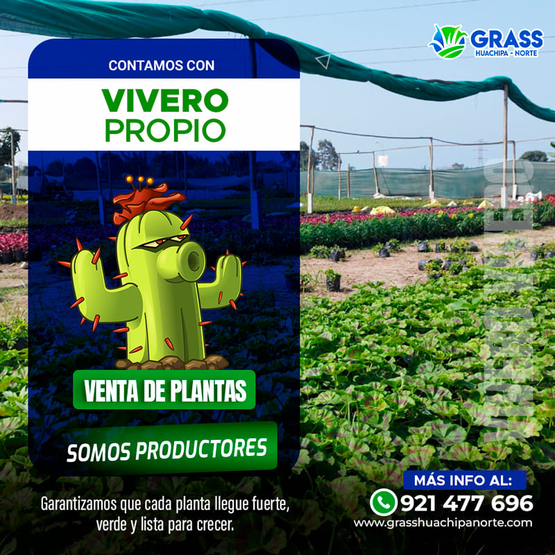 flayer_planta