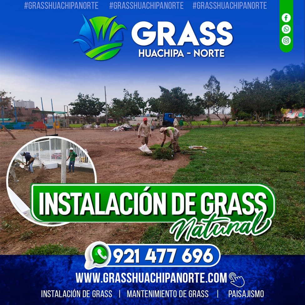 flayer_servicios (2)