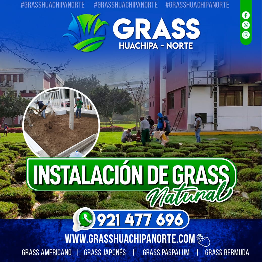 flayer_servicios