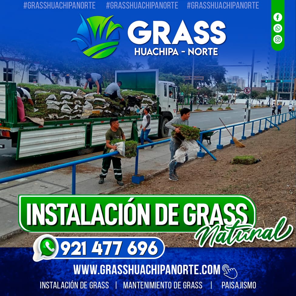 flayer_servicios_01 (1)