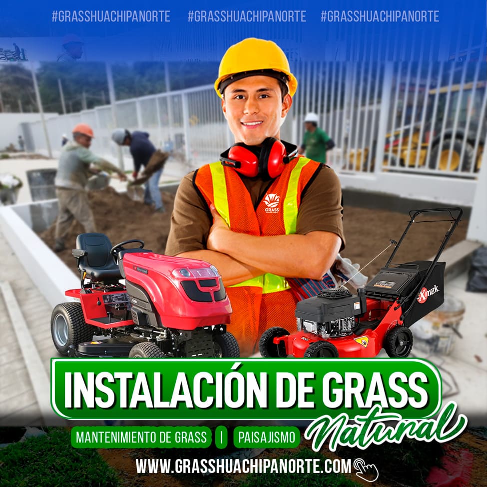 flayer_servicios_02