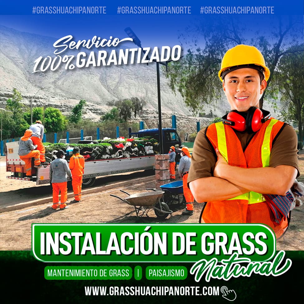 flayer_servicios_03
