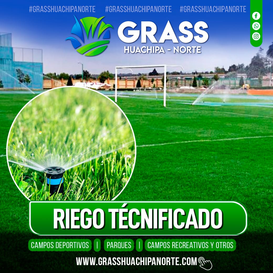 flayer_servicios_04 (1)