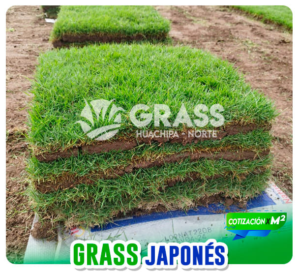 grass_tipos_02
