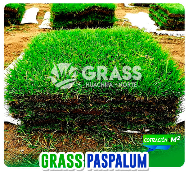 grass_tipos_04