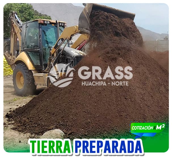 grass_tipos_07