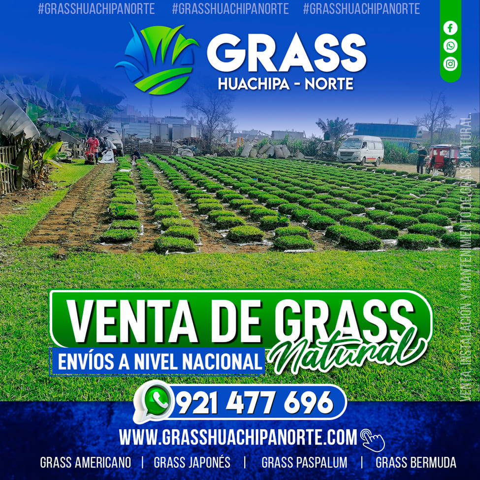 plantas_GHN_08 (1)